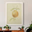 Dappled Oranges III - Peinture sur toile encadrée-1083049979-1083049978