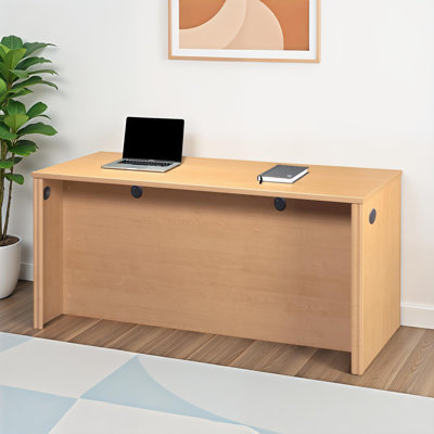 Tammara Desk Shell