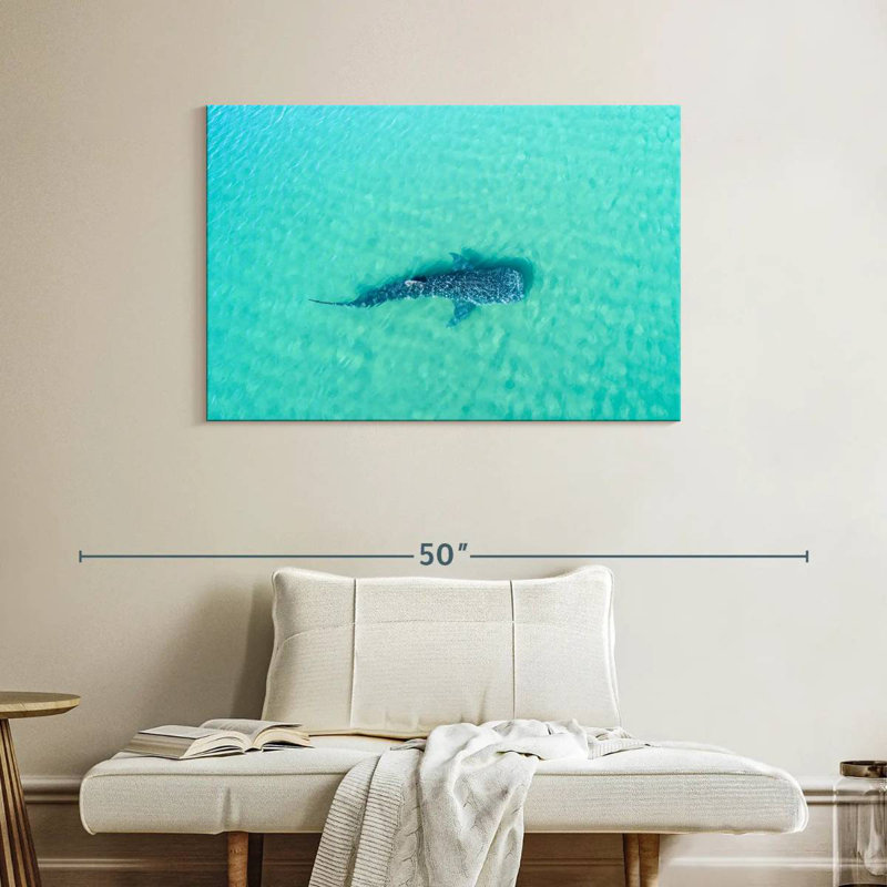 Crowle, requin baleine La Paz, H 26 po x l 39 po