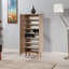 20 Pair Shoe Storage Cabinet