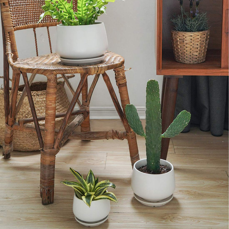 Pots à plantes en céramique 4,1 + 5,1 + 6,5 pouces, Blanc