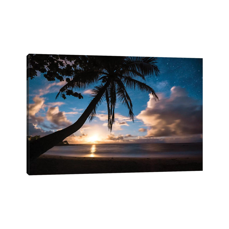 Paradise At Night by Lucas Moore - Wrapped Canvas Print, 66.04 cm H x 45.72 cm W x 1.91 cm D