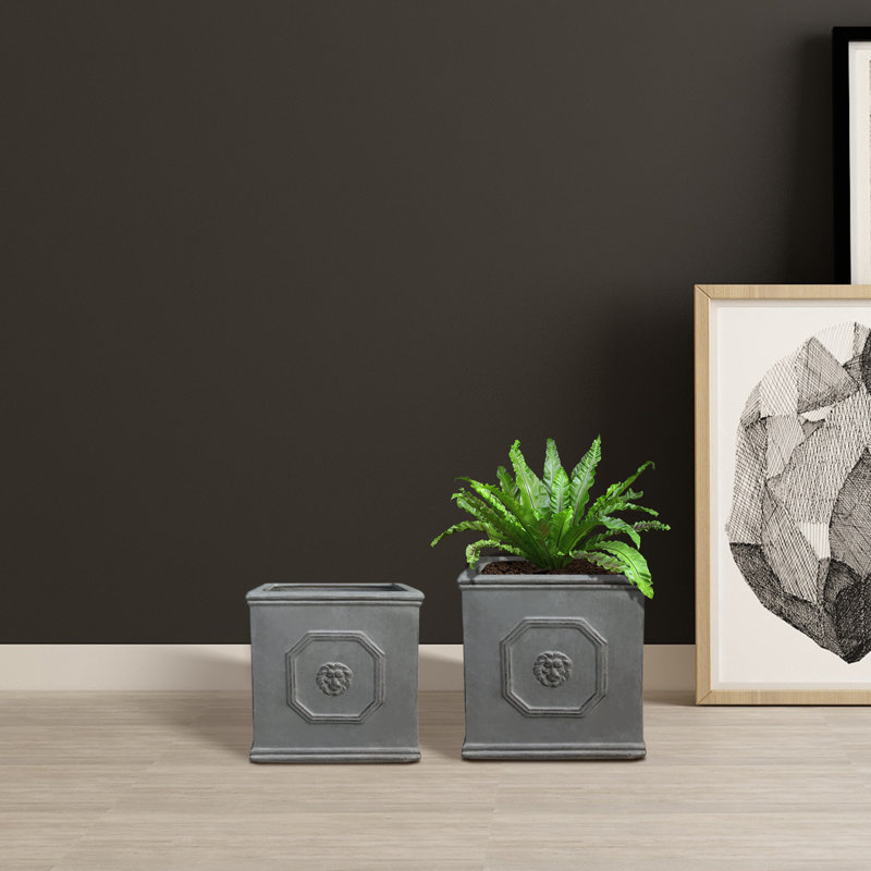 Antique Gray Concrete Lion Head Square Planter Set