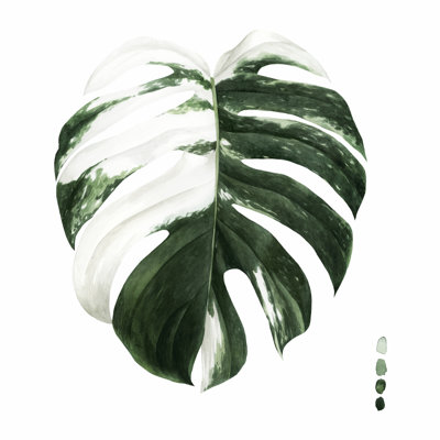 «Variegated Monstera II» par Grace Popp - peinture sur toile tendue
