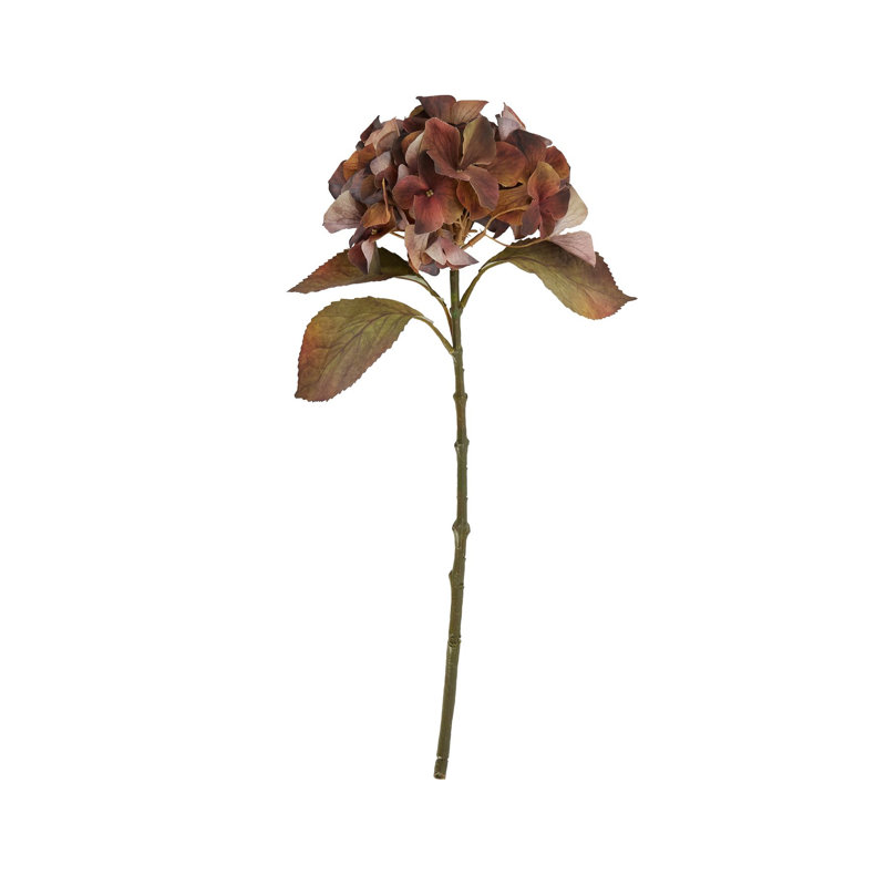 Anastasija Arrangement, Brown, 50 cm H x 26 cm W x 26 cm D
