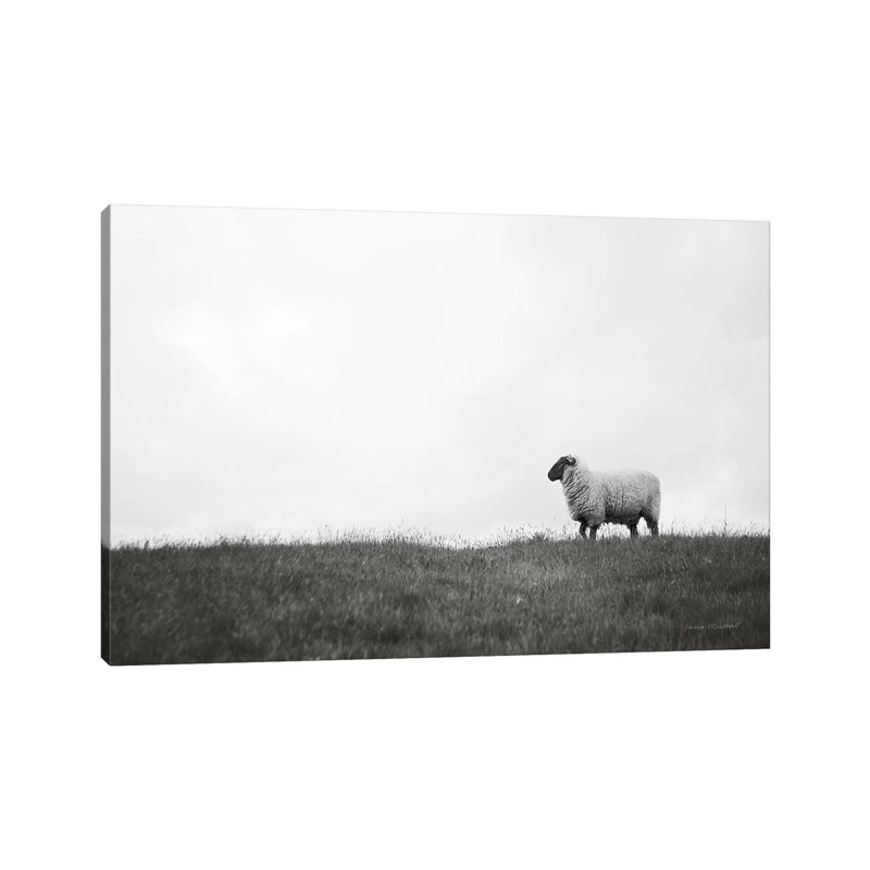 Islay Sheep II by Laura Marshall - Wrapped Canvas Print, 66.04 cm H x 45.72 cm W x 3.175 cm D