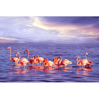 A Flock Of Pink Flamingos by Delbars - Wrapped Canvas Print