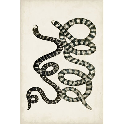 Antique Snakes VI - Art Prints