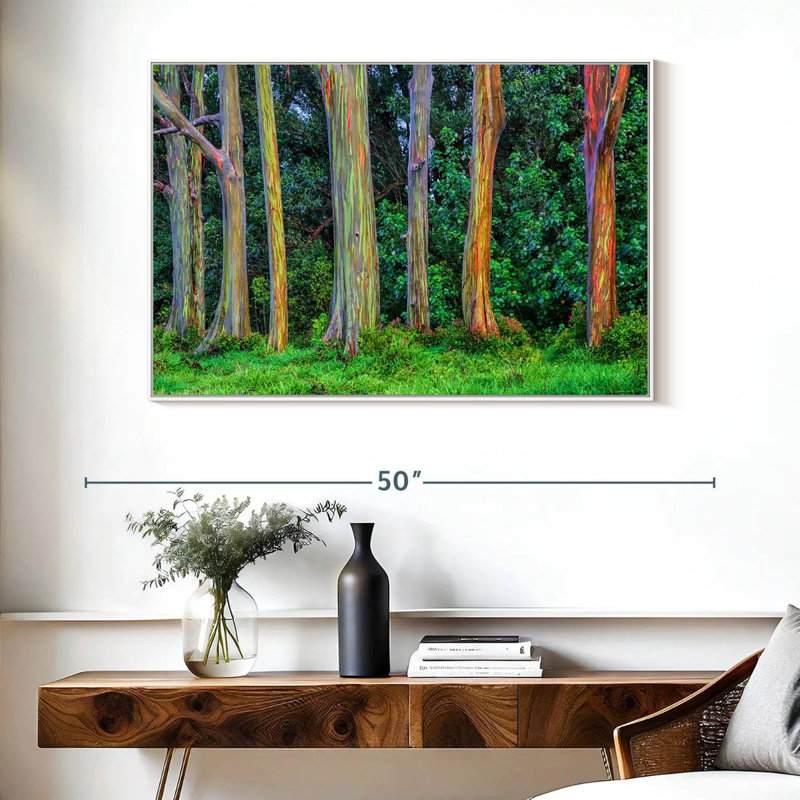 Eucalyptus arc-en-ciel, Cadre flottant blanc, 40 po x 27 po