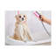No Frame Print on Canvas-762100136