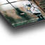 Boze Accent on Tempered Glass-100402620