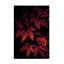 Art sur toile 7 x bolognaise, bolognaise-105647369