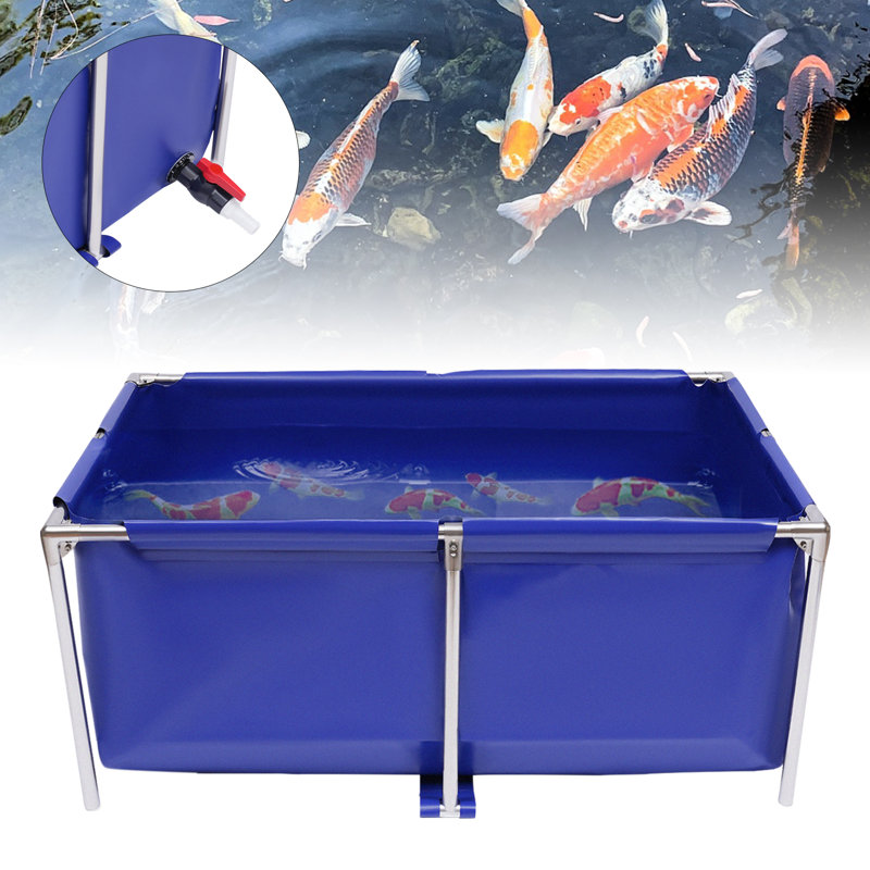 Tucker Murphy Pet™ Breze Rectangle Aquarium Tank - Wayfair Canada