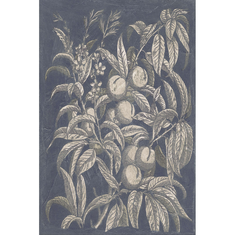 Rétro fruits et fleurs II, H 12 po x l 8 po