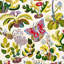 Exotic Butterfly Wallpaper-22437697