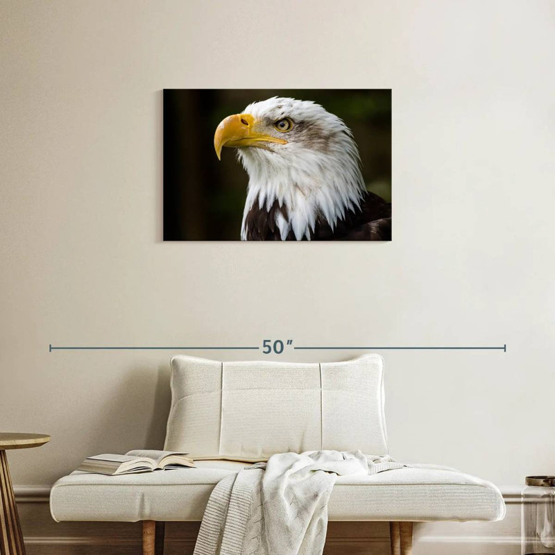 Fierce Bald Eagle, 20" H x 30" W