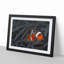 Peeping Clownfish - Picture Frame Painting Print-55583050-55583052