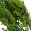 75cm Faux Plant-127681163