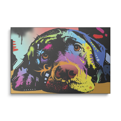 Steelpix Metal Canvas -  Lying Lab By Dean Russo Wall Art Print