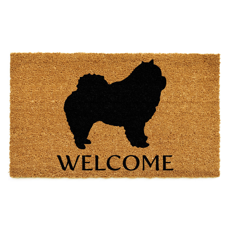 Tapis d'intérieur antidérapant Chow Chow, l 24 po x L 36 po