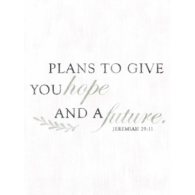 " Plans To Give You "