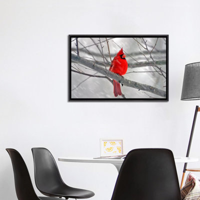« cardinal oiseau »-impression