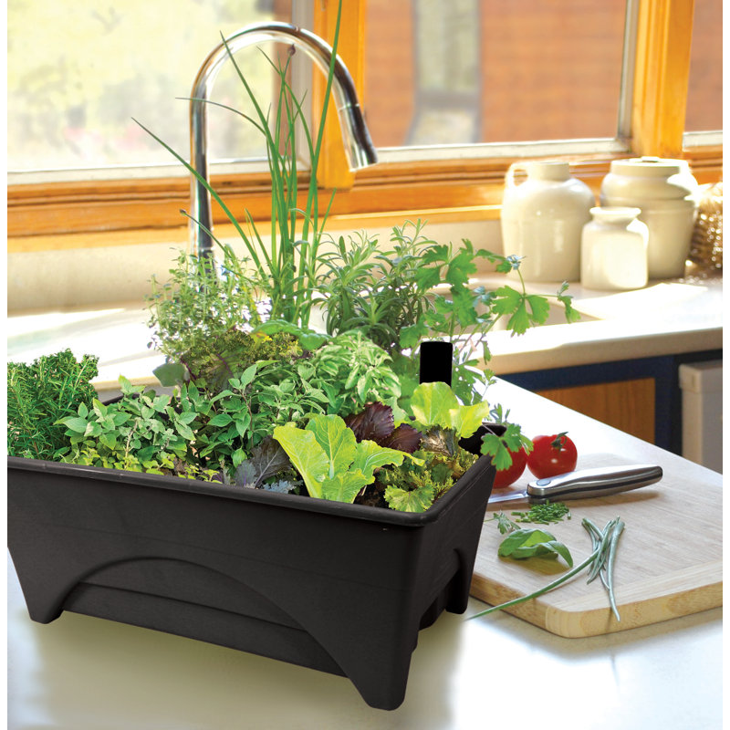 Pot à fleurs surélevé en plastique Fentress, Gris anthracite