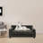  Orthopedic Dog Sofa Bed-66284375-66284372