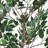 Artificial Ficus Tree With Pot