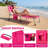 Olenka Outdoor Metal Chaise Lounge