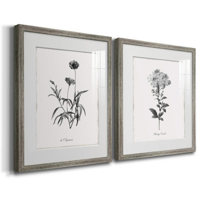 " Simply Imperial " 2 - Pieces