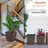 Pot Planter-979810678