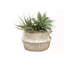 Bay Isle Home Feddalat Wicker Box-24855423-24855420