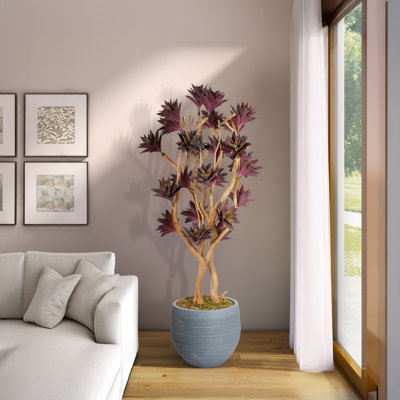 Arbre succulent 7,5 pi mauve givré avec bois de dragon sablé dans un pot Riband