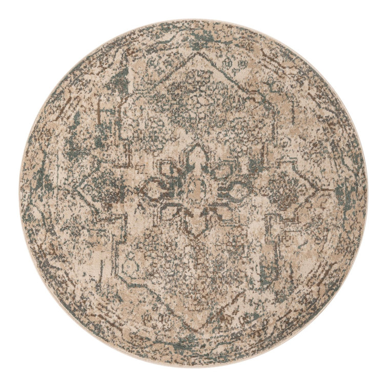Mosely Oriental Indoor Rug