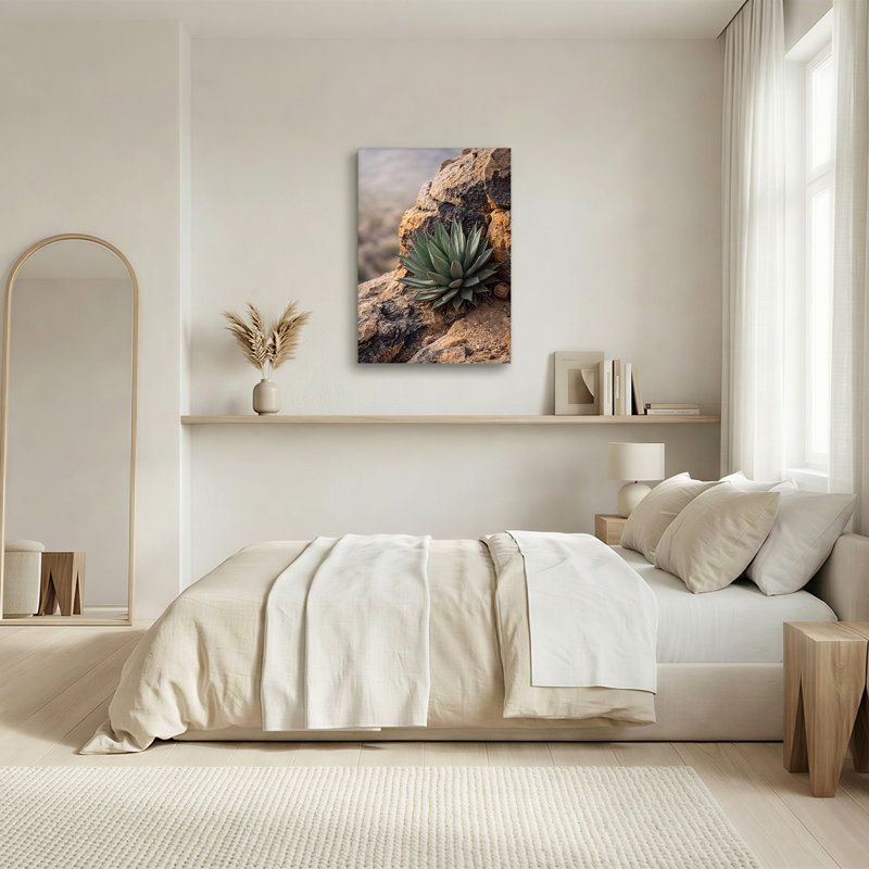 «Green Agave Plant Growing On Weathered Rock Face», art mural sur toile, 24"H x 16"W