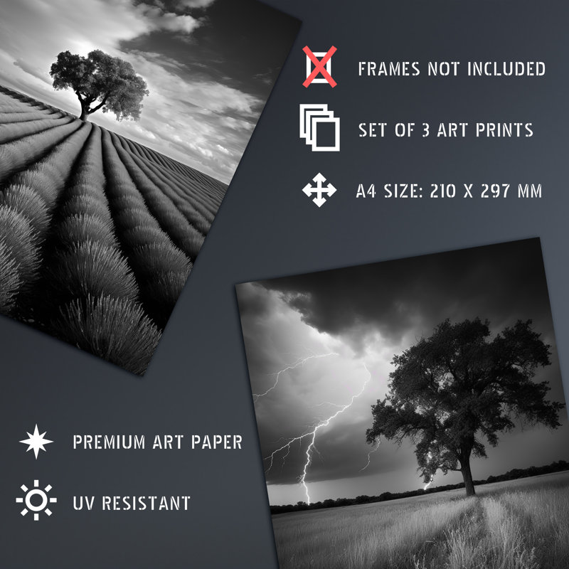 Lone Tree And Storm Clouds Black White Coastal Landscape - 3 Piece No Frame Print Set, 29.7cm H x 21cm W x 0.4cm D