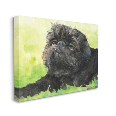 Portrait de chien bruxellois bruxellois par George Dyachenko - reproduction d'art sur toile