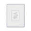 «Botanical Silhouette II» par Cindy Jacobs, reproduction d'art-1528269529-1528269537-1528269532
