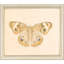 Butterflies S/6 Print by Meagher