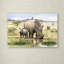 «Rhino» par Armand, reproduction sur toile-21646564