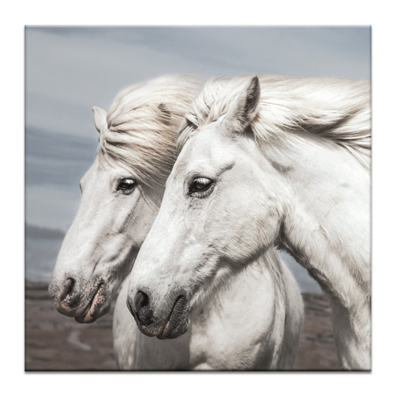 Print on Canvas, 102cm H x 102cm W, Wrapped Canvas