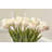 Tulip Arrangement-969854471
