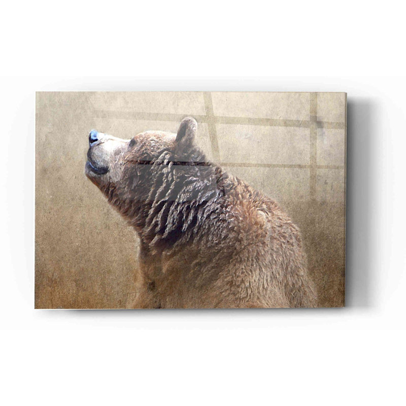«Big Bear» par Karen Smith, art mural en verre acrylique, H 12 po x l 16 po x P 0,12 po
