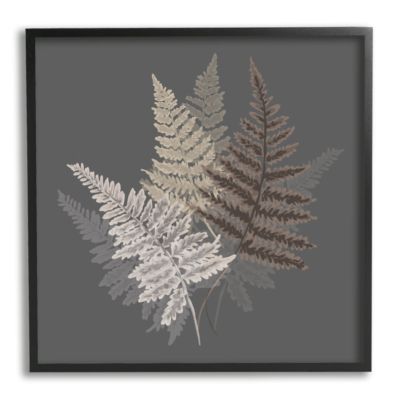 Branches de fougère à feuilles superposées, Giclée encadrée noir minuit, H 12 po x l 12 po x P 1,5 po