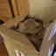 Customer photo 2 of 2