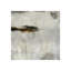 Luna I Painting by Paul Duncan-26934855-26934856