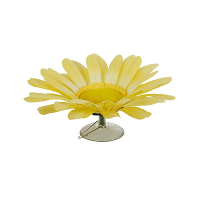 Pivoine avec ventouse