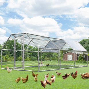 Poulailler  pour 15 à 20 poulets