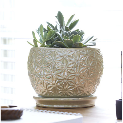 Handmade Ceramic Pot Planter